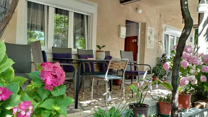 Ferienwohnung Apartman Paulina Selce Exterior foto
